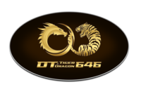 dt646vip เดิมพันสุดพรีเมี่ยม ครบครันเกมดัง จ่ายจริงทุกยอด  